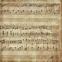 �����ױ���-������