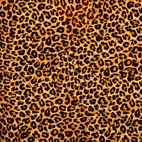 黄色豹纹背景-空若网 黄色豹纹背景-空若网