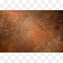 Ê÷×®ÎÆÀí±³¾°-¿ÕÈôÍø Ê÷×®ÎÆÀí±³¾°-¿ÕÈôÍø