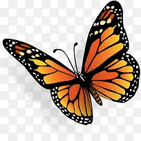 蝴蝶橙色翅膀图标设计-空若网 蝴蝶橙色翅膀图标设计-空若网