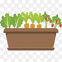 种在花盆里面的蔬菜-空若网 种在花盆里面的蔬菜-空若网