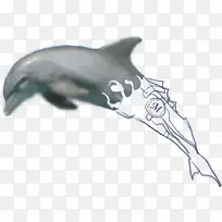 �ڰ�ˮī���㴴��-������