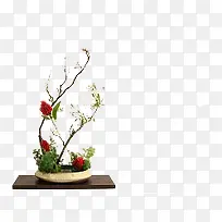 ֲ��-������