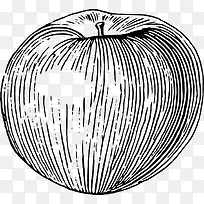 �ֻ�ƻ��-������