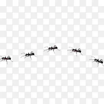 ÂìÒÏ-¿ÕÈôÍø ÂìÒÏ-¿ÕÈôÍø