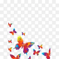 七彩矢量蝴蝶-空若网 七彩矢量蝴蝶-空若网