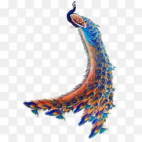 手绘孔雀-空若网 手绘孔雀-空若网