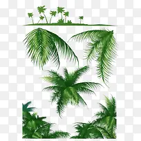 柏树枝-空若网 柏树枝-空若网