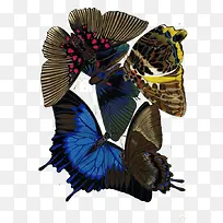 ºûµû³á°ò±ê±¾-¿ÕÈôÍø ºûµû³á°ò±ê±¾-¿ÕÈôÍø