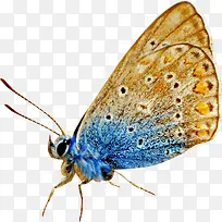 �����ɫ��״����ʵ��-������