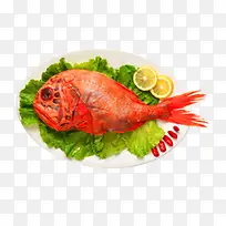 南极长寿鱼-空若网 南极长寿鱼-空若网