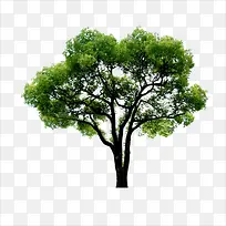 ����-������