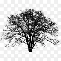 �ߴ����-������