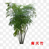 ������-������