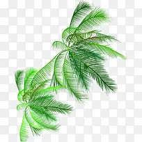 ϡ������ز�-������