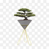 迎客松素材-空若网 迎客松素材-空若网