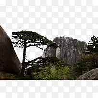 黄山迎客松风景摄影-空若网 黄山迎客松风景摄影-空若网