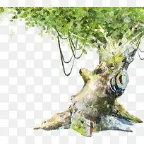 ������ɫֲ���ֻ�-������