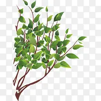 夏季促销叶子PNG矢量素材-空若网 夏季促销叶子PNG矢量素材-空若网