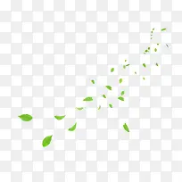 漂浮叶片免抠素材-空若网 漂浮叶片免抠素材-空若网