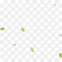 绿色树叶漂浮-空若网 绿色树叶漂浮-空若网