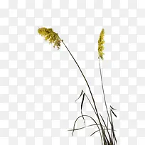 «έ-������