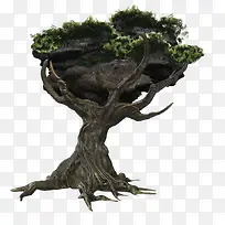 岩石 大树-空若网 岩石 大树-空若网