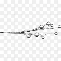 ����֦�ز�ͼƬ-������