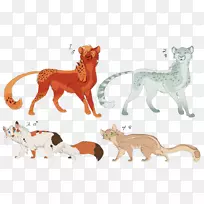 猫陆生动物食肉猎豹-空若网 猫陆生动物食肉猎豹-空若网