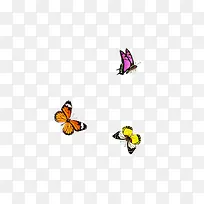 一组彩色蝴蝶透明素材-空若网 一组彩色蝴蝶透明素材-空若网