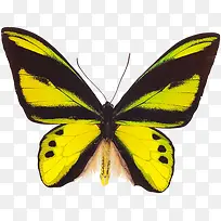 �ƺں���-������