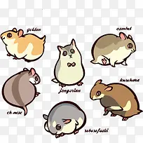 矢量仓鼠-空若网 矢量仓鼠-空若网