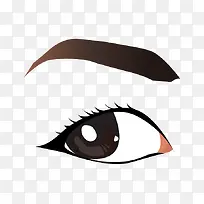 矢量眼睛眉毛-空若网 矢量眼睛眉毛-空若网