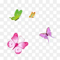 蝴蝶素材-空若网 蝴蝶素材-空若网