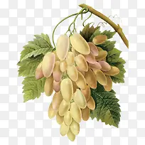 ��ɫ�������ֻ�-������