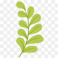 树叶枝条-空若网 树叶枝条-空若网