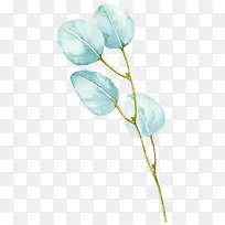 Ë®²Ê»º£±¨Ö²ÎïÐÞÊÎÒ¶×Ó-¿ÕÈôÍø Ë®²Ê»º£±¨Ö²ÎïÐÞÊÎÒ¶×Ó-¿ÕÈôÍø