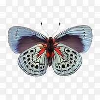 ��֧�������걾-������