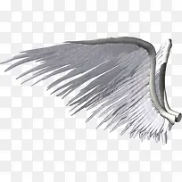 单翅膀-空若网 单翅膀-空若网