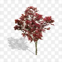 ����-������