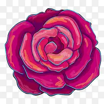 水彩牡丹-空若网 水彩牡丹-空若网