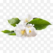 ���崴����Ӱ��ɫ������-������