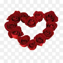 ����õ�廨-������