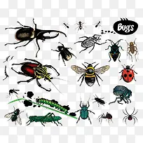 ʸÁ¿À¥³æÊÀ½ç-¿ÕÈôÍø ʸÁ¿À¥³æÊÀ½ç-¿ÕÈôÍø