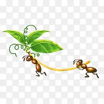 蚂蚁枝叶-空若网 蚂蚁枝叶-空若网