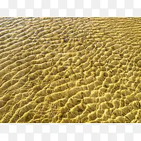 ɳ̲���Ʊ���-������