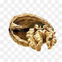 核桃-空若网 核桃-空若网