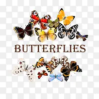 ������ǩ-������