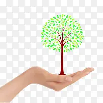 手捧树牙实物图片-空若网 手捧树牙实物图片-空若网