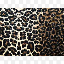 ���ɱ��Ʊ���-������